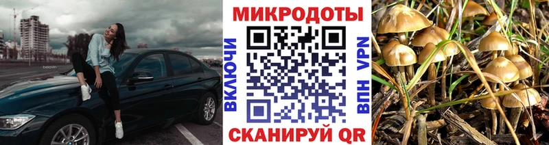 Галлюциногенные грибы мицелий  Купить закладки  Великие Луки 