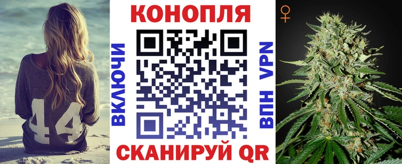 Конопля Bruce Banner Великие Луки